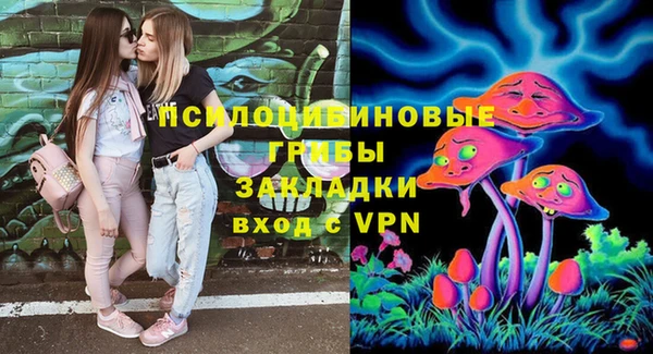 МДПВ Алексеевка
