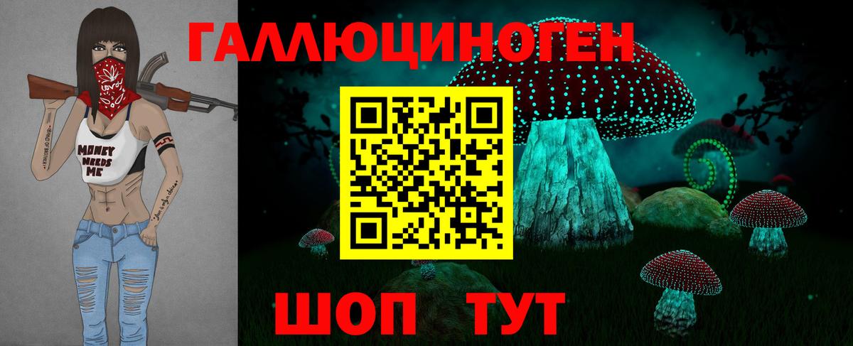 Галлюциногенные грибы Psilocybe Рославль